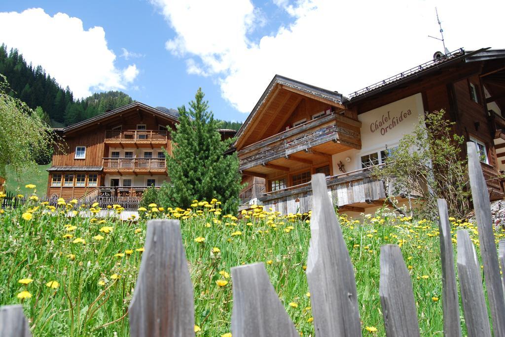 Appartamenti Chalet Orchidea 까나제이 외부 사진