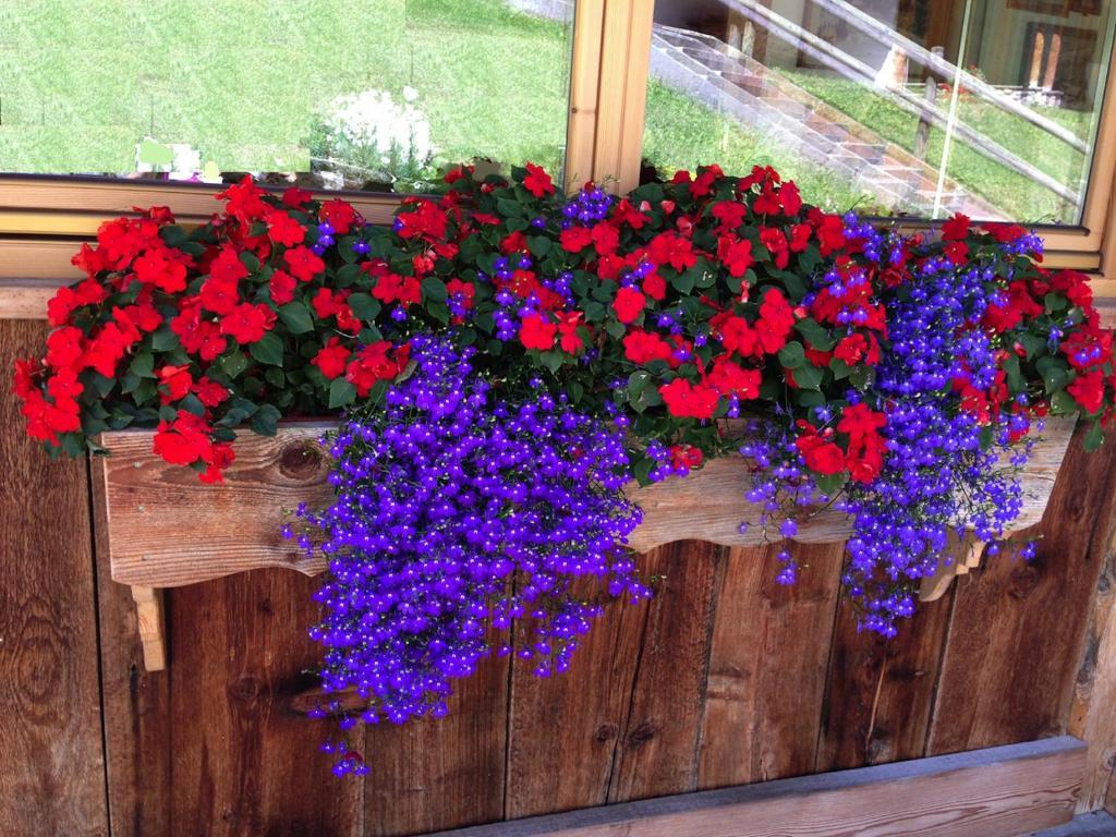 Appartamenti Chalet Orchidea 까나제이 외부 사진