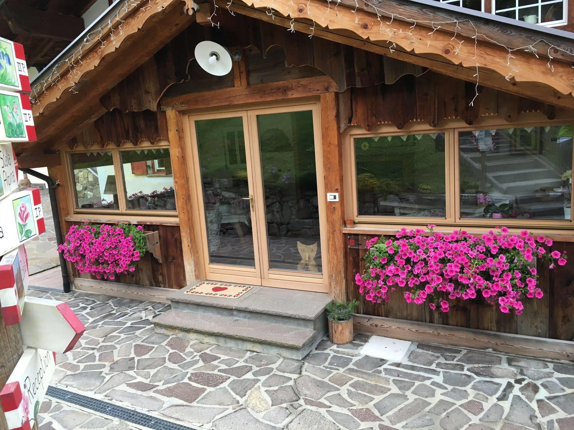 Appartamenti Chalet Orchidea 까나제이 외부 사진