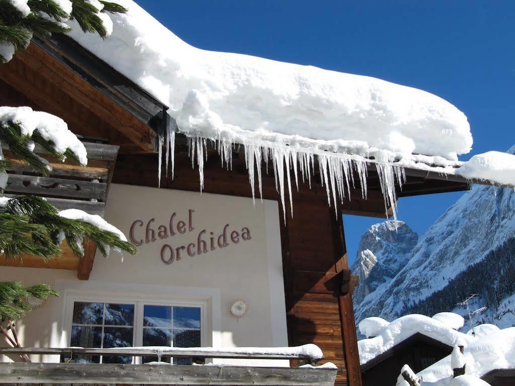 Appartamenti Chalet Orchidea 까나제이 외부 사진